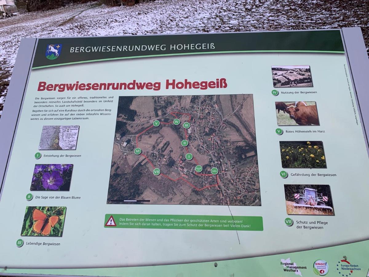 Gemuetliche Ferienwohnung Harz Braunlage Hohegeiss Bagian luar foto