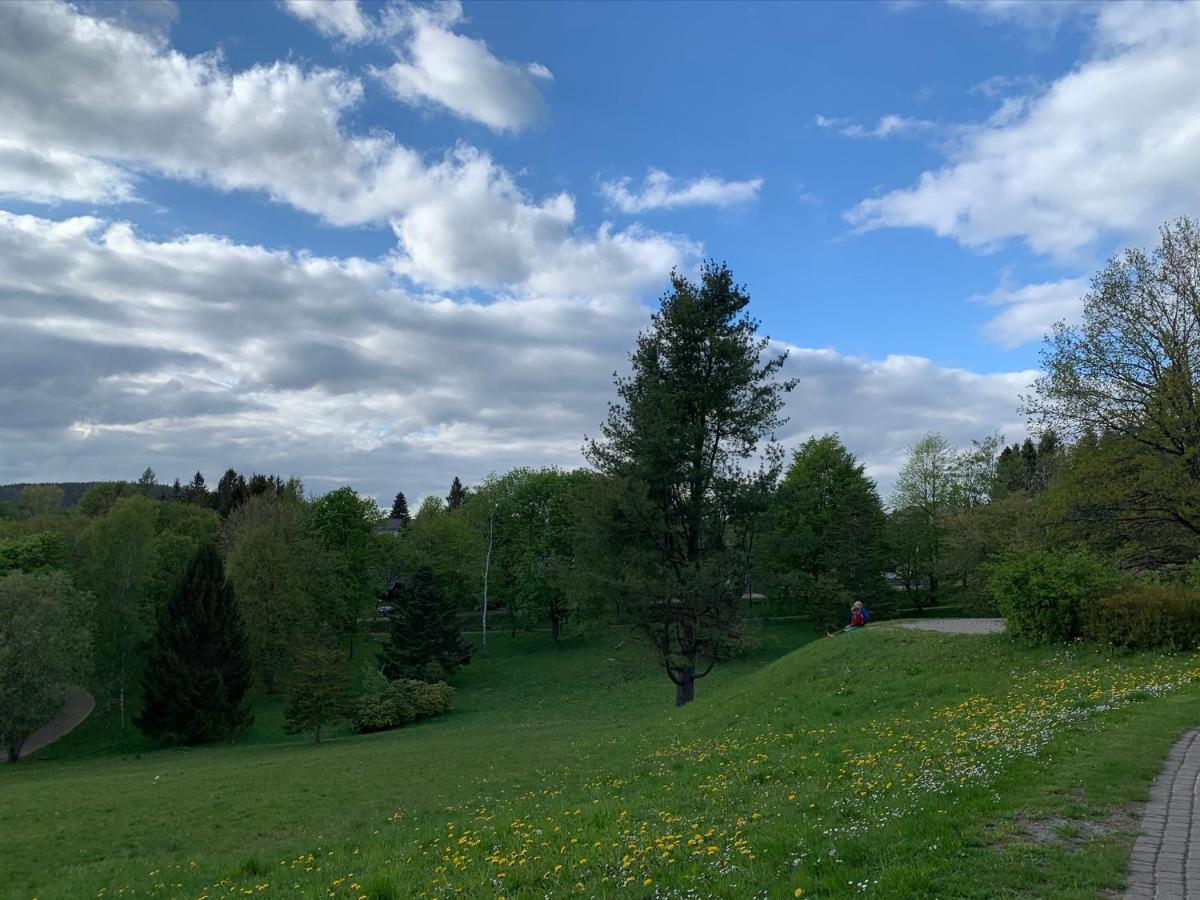 Gemuetliche Ferienwohnung Harz Braunlage Hohegeiss Bagian luar foto