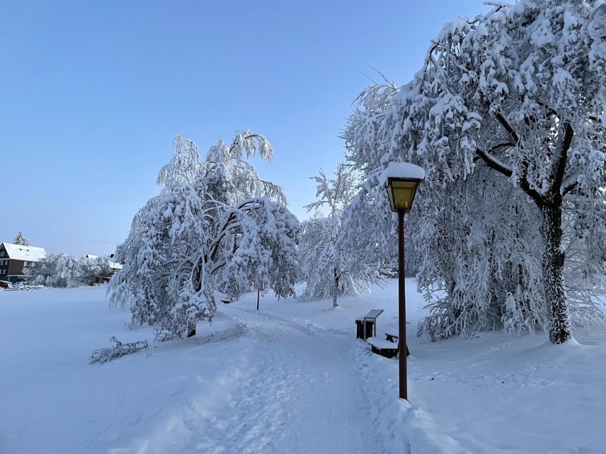 Gemuetliche Ferienwohnung Harz Braunlage Hohegeiss Bagian luar foto