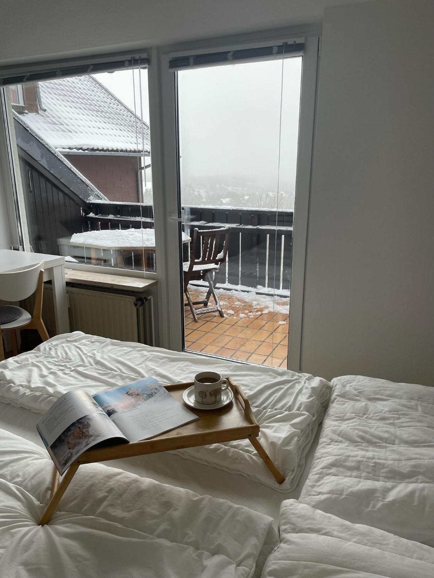 Gemuetliche Ferienwohnung Harz Braunlage Hohegeiss Bagian luar foto
